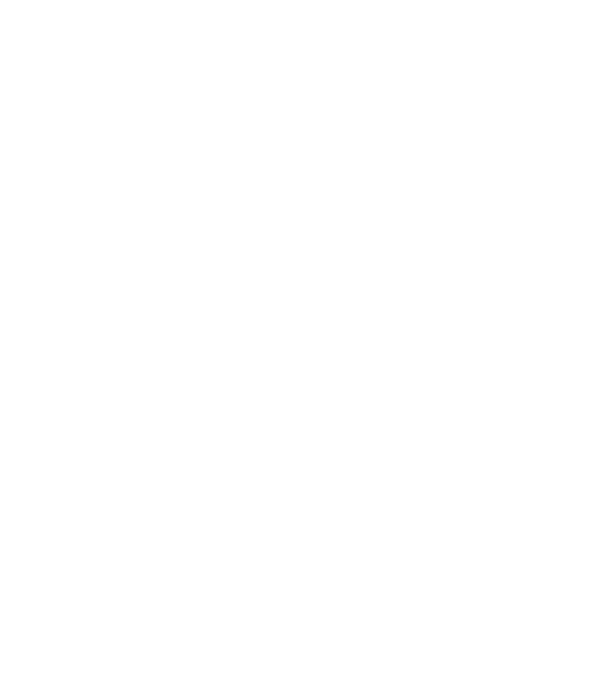 A.M Consult